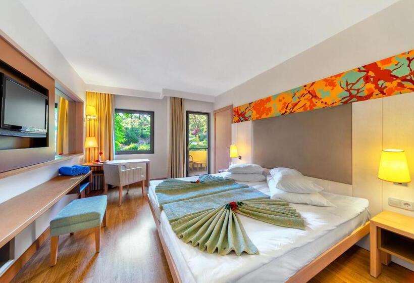 Номер Economy, Robinson Sarigerme Park   All Inclusive