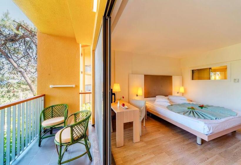 Номер Economy Индивидуальный, Robinson Sarigerme Park   All Inclusive