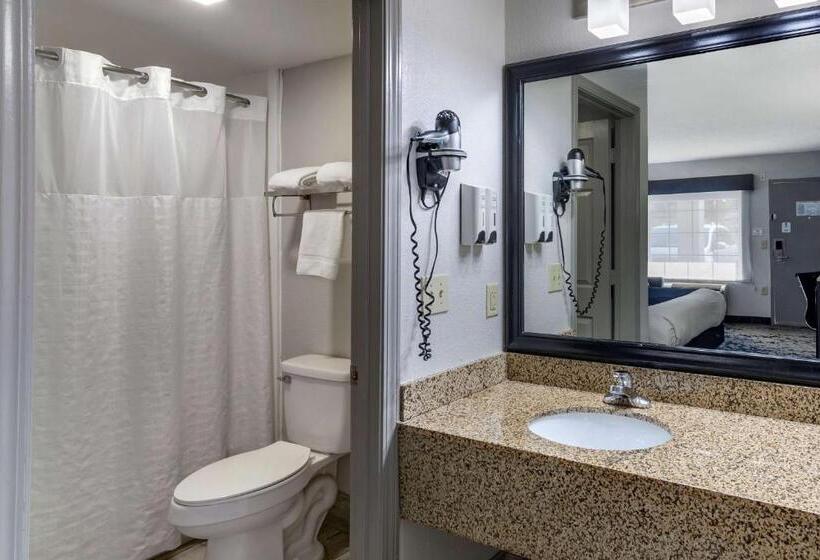キングサイズベッドのスタンダードルーム, Best Western Allatoona Inn & Suites