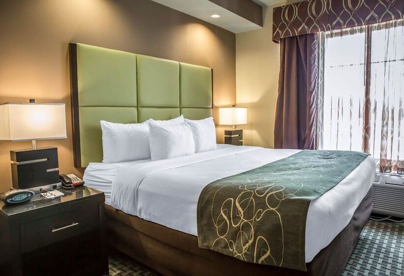 Люкс, Comfort Suites New Bern Near Cherry Point