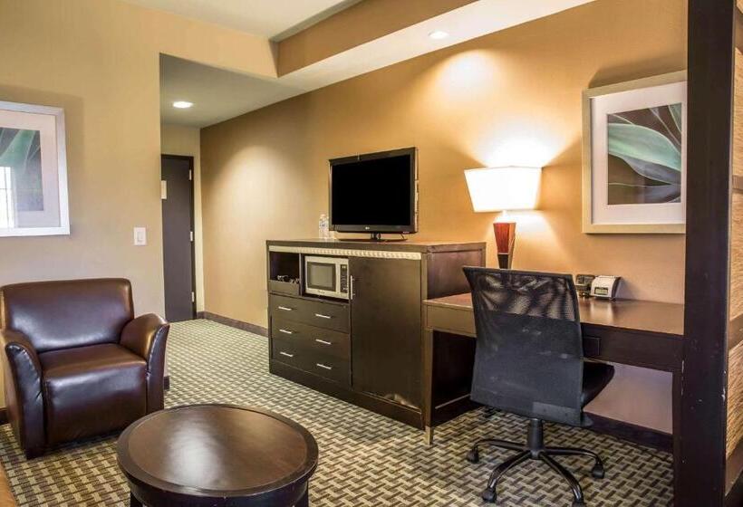 Люкс Кровать Кинг, Comfort Suites New Bern Near Cherry Point