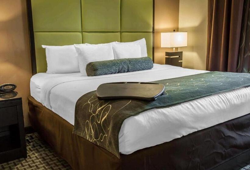 Люкс Кровать Кинг, Comfort Suites New Bern Near Cherry Point