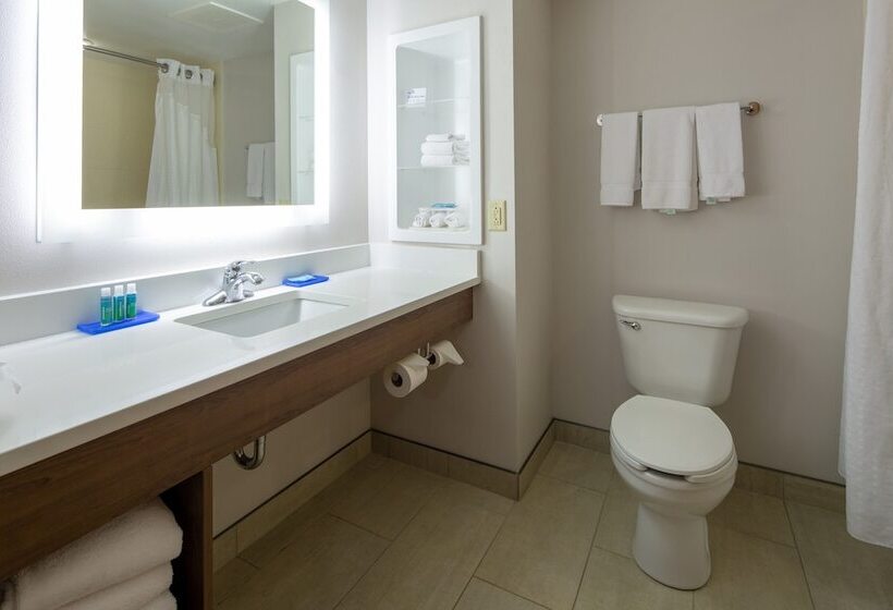 身障者適用スイートルーム, Holiday Inn Express Hotel & Suites Lenoir City Knoxville Area, An Ihg