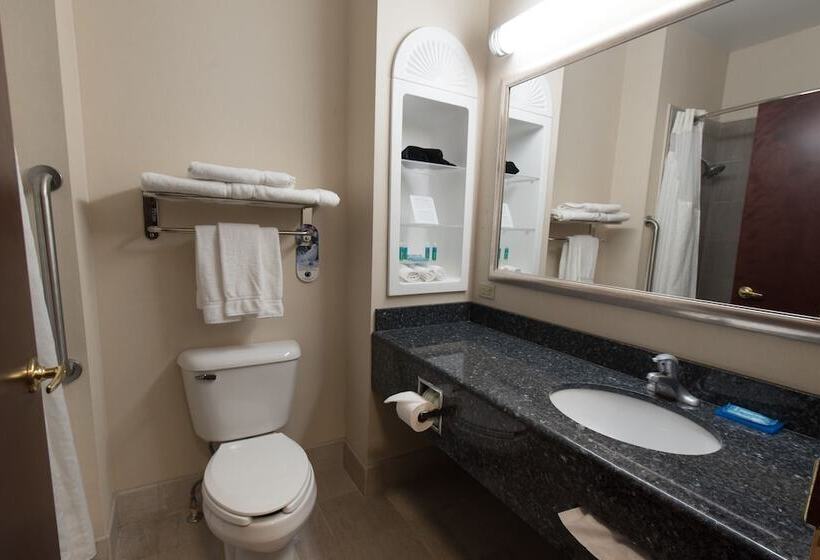 Номер Стандарт, Holiday Inn Express Hotel & Suites Erie An Ihg