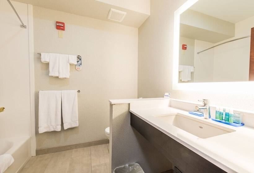 Люкс Адаптированный для Инвалидов, Holiday Inn Express Hotel & Suites Erie An Ihg