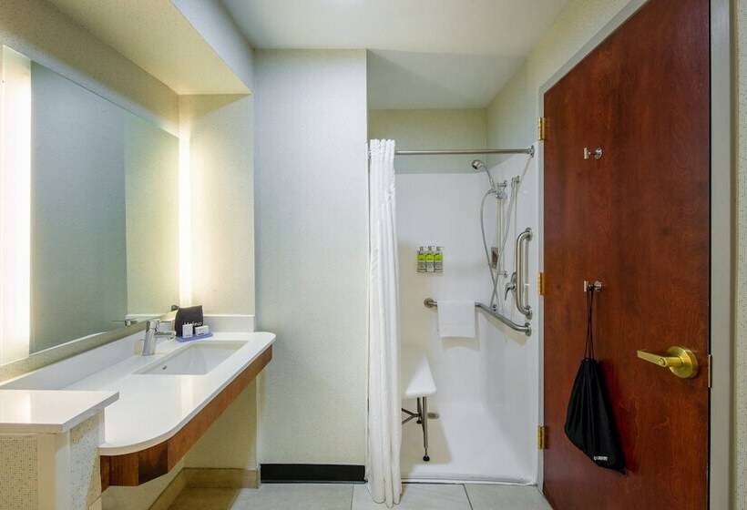 Номер Стандарт Адаптированный для Инвалидов, Holiday Inn Express Hotel & Suites Erie An Ihg
