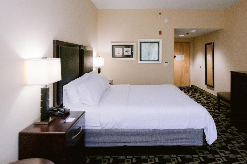 اتاق استاندارد با تخت بزرگ, Holiday Inn Express Hotel Raleigh Southwest, An Ihg