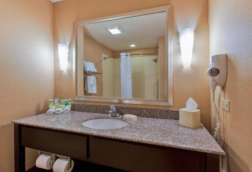 Suite King Size Seng, Holiday Inn Express And Suites Alpine, An Ihg