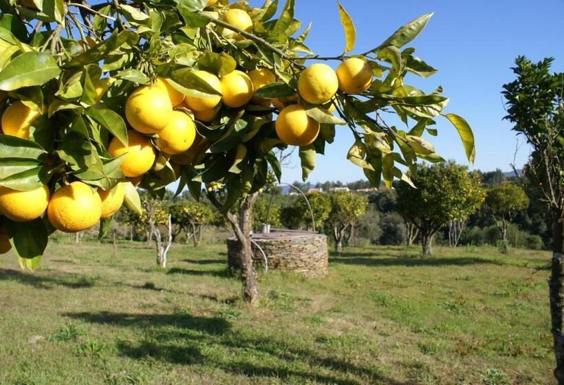 اتاق استاندارد با تراس, Herdade Do Freixial   Turismo Rural
