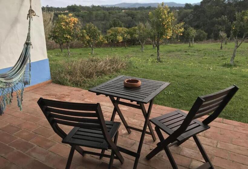 اتاق استاندارد با تراس, Herdade Do Freixial   Turismo Rural