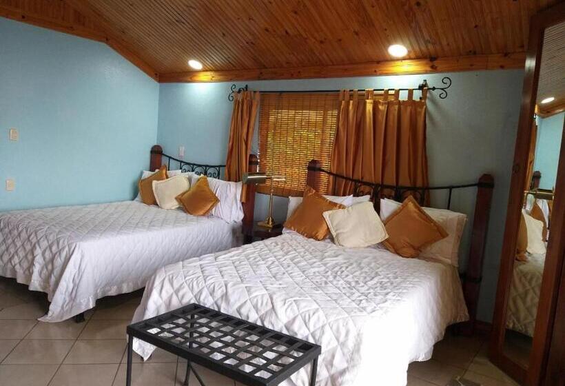 小型套房, Guayabo Lodge