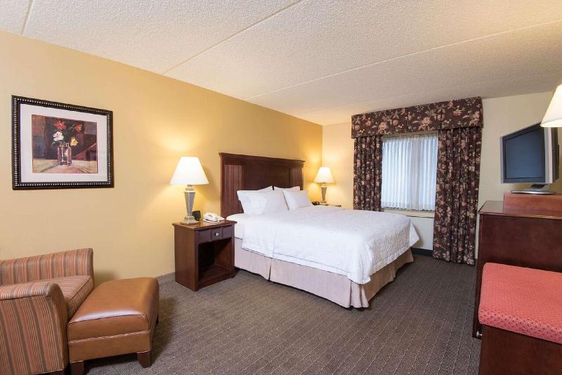 스탠다드 룸 킹사이즈 침대, Hampton Inn Schenectady Downtown
