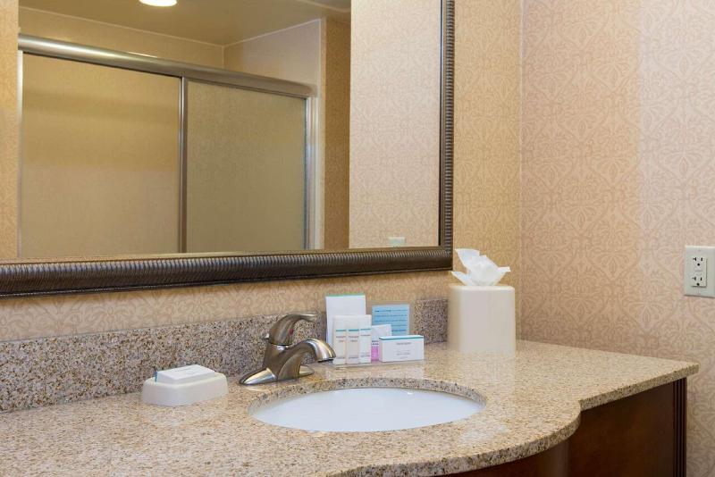 스탠다드 룸 킹사이즈 침대, Hampton Inn Schenectady Downtown