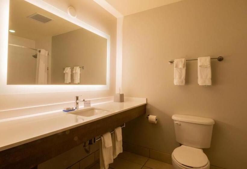 Люкс Премиум, Holiday Inn Express Hotel & Suites Mankato East, An Ihg