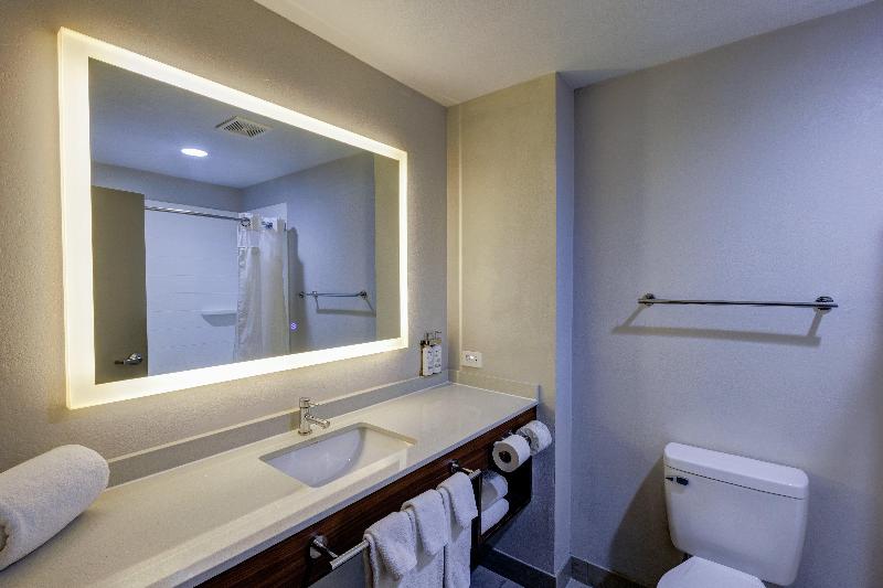 带大床的套房, Holiday Inn Express Hotel & Suites Shelbyville, An Ihg