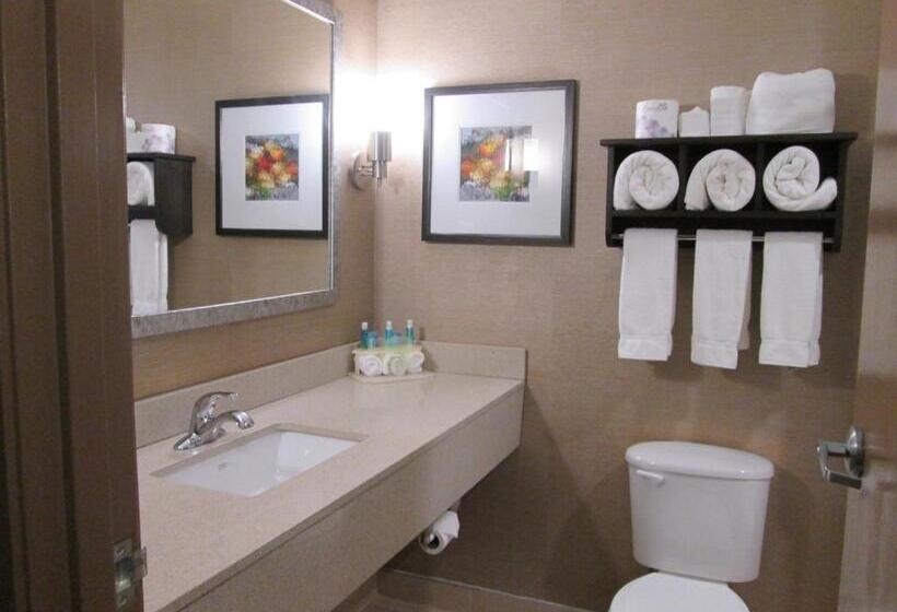キングサイズベッドのデラックスルーム, Holiday Inn Express Cloverdale   Greencastle, An Ihg