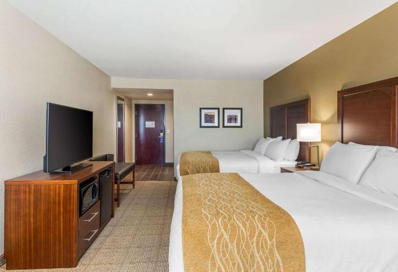 标准间, Comfort Inn & Suites