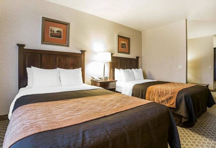 سوییت, Comfort Inn & Suites Henderson  Las Vegas