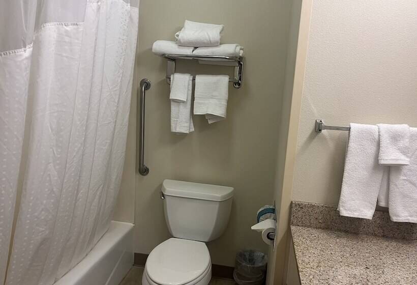 Номер Стандарт, Holiday Inn Express Hotel & Suites Sioux Falls At Empire Mall, An Ihg