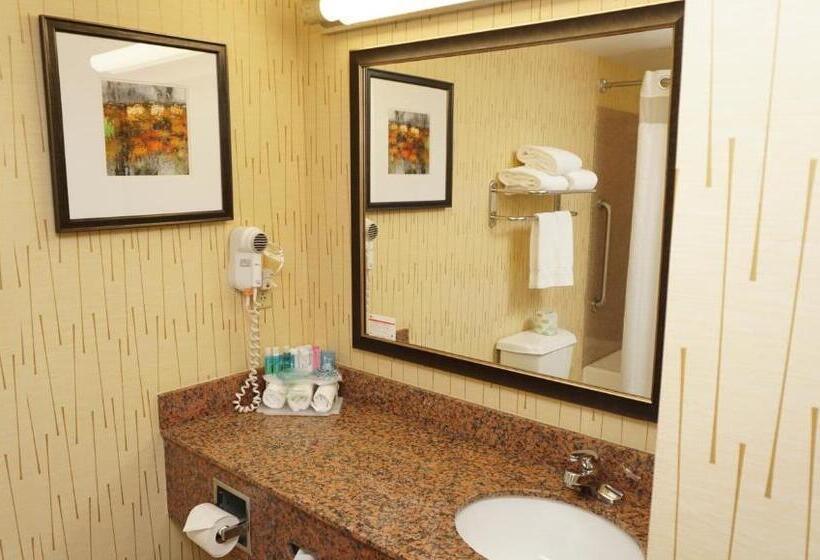 带大床的标准间, Holiday Inn Express & Suites Gibson, An Ihg