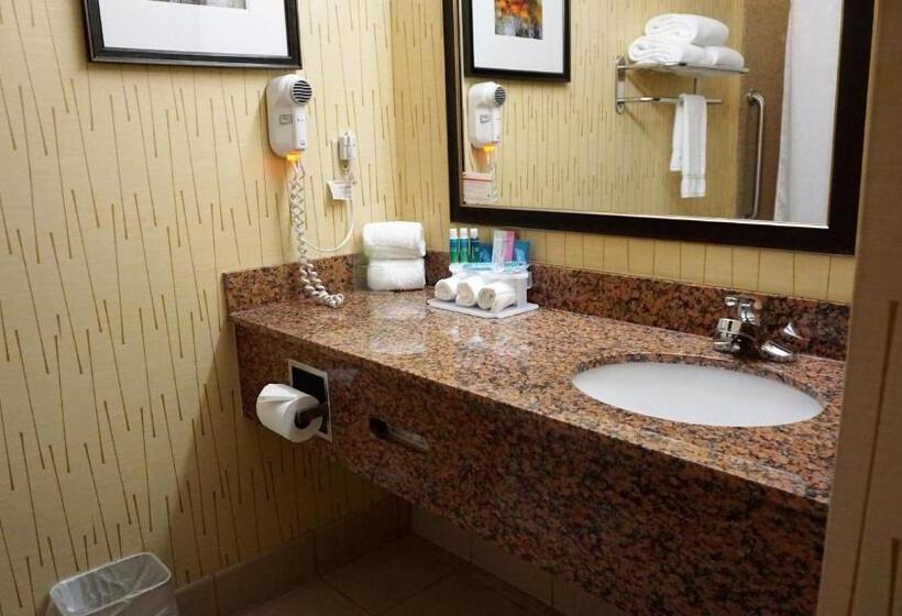 适合残疾人士使用的套间, Holiday Inn Express & Suites Gibson, An Ihg