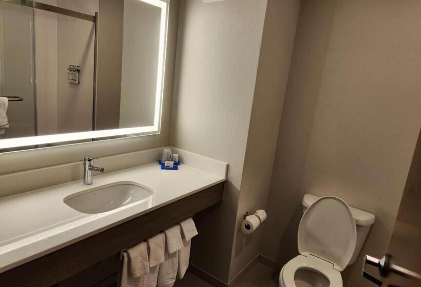 Номер Executive Кровать Кинг, Holiday Inn Express & Suites Perry, An Ihg