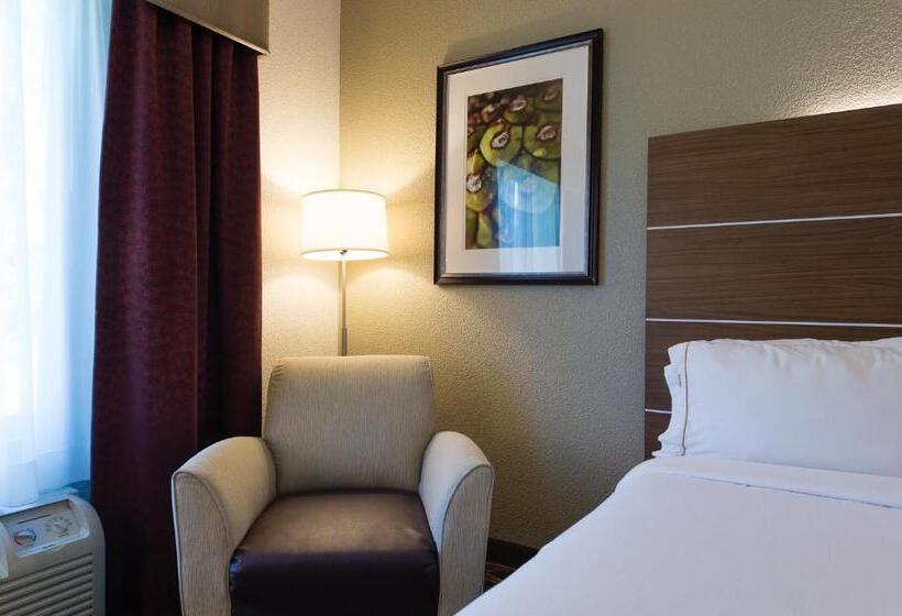 Номер Стандарт Кровать Кинг Адаптированный для Инвалидов, Holiday Inn Exp Walterboro By Ihg