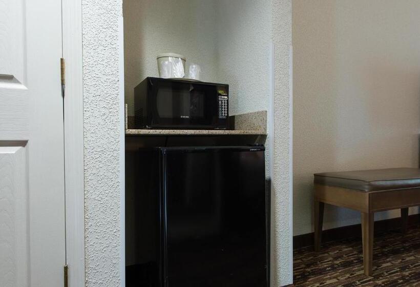 Номер Стандарт Двуспальная Кровать Адаптированный для Инвалидов, Holiday Inn Exp Walterboro By Ihg