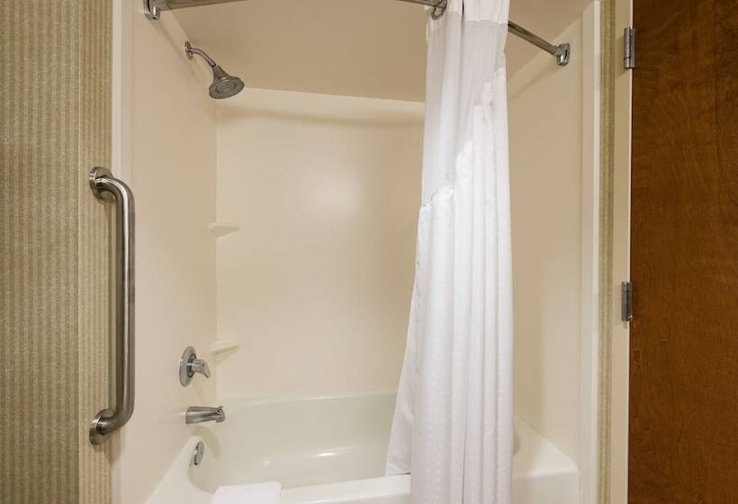 Номер Стандарт Двуспальная Кровать Адаптированный для Инвалидов, Holiday Inn Exp Walterboro By Ihg