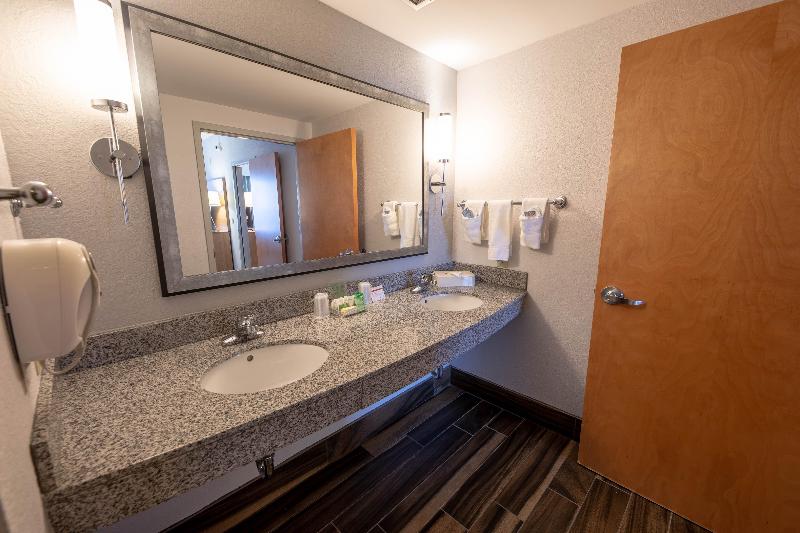 스위트 킹사이즈 침대, Holiday Inn Manahawkin/long Beach Island, An Ihg
