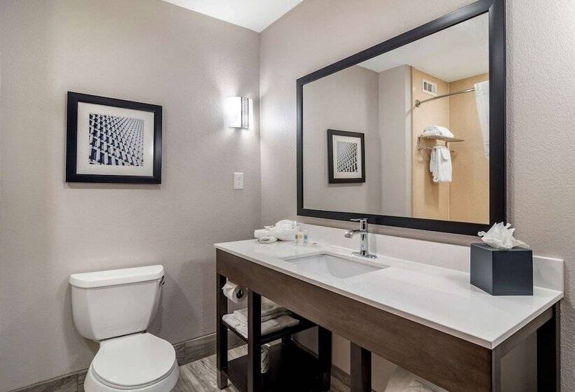 Люкс, Comfort Suites Mcdonough Atlanta South