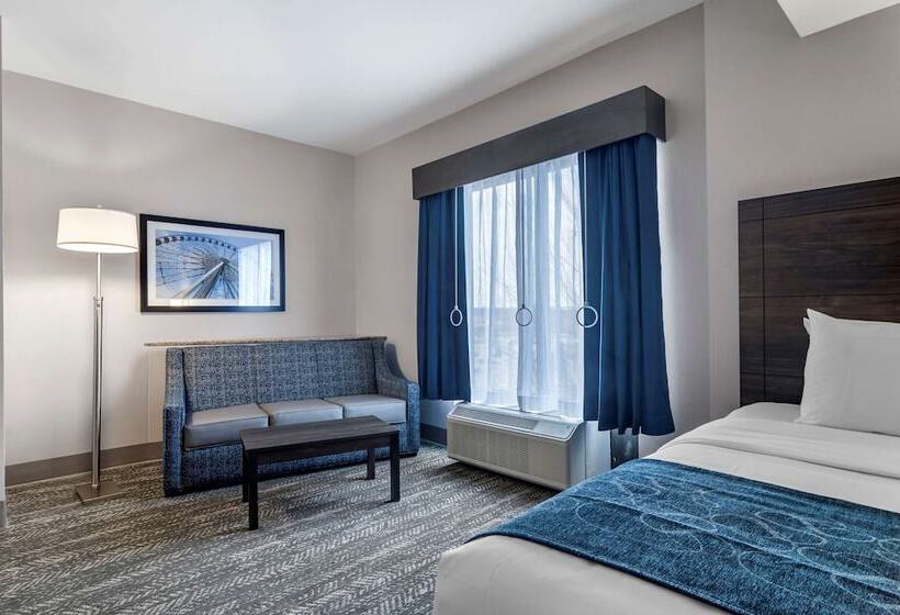 Люкс Адаптированный для Инвалидов, Comfort Suites Mcdonough Atlanta South