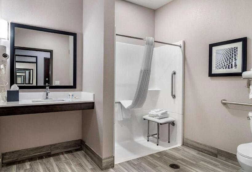 Люкс Адаптированный для Инвалидов, Comfort Suites Mcdonough Atlanta South