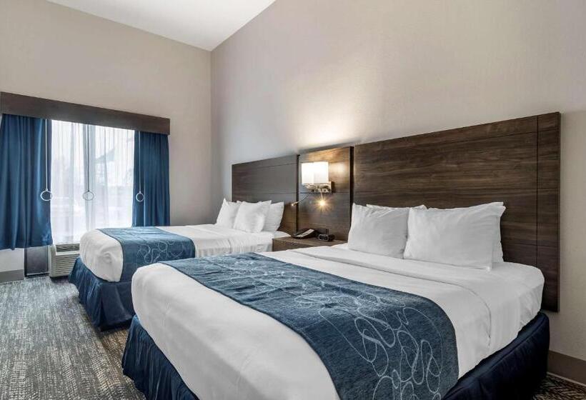 Люкс Адаптированный для Инвалидов, Comfort Suites Mcdonough Atlanta South