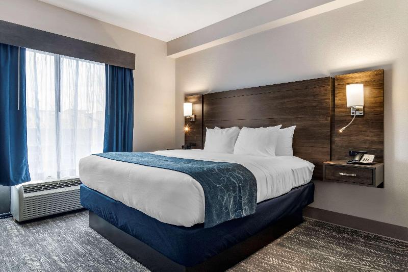 Люкс Кровать Кинг, Comfort Suites Mcdonough Atlanta South