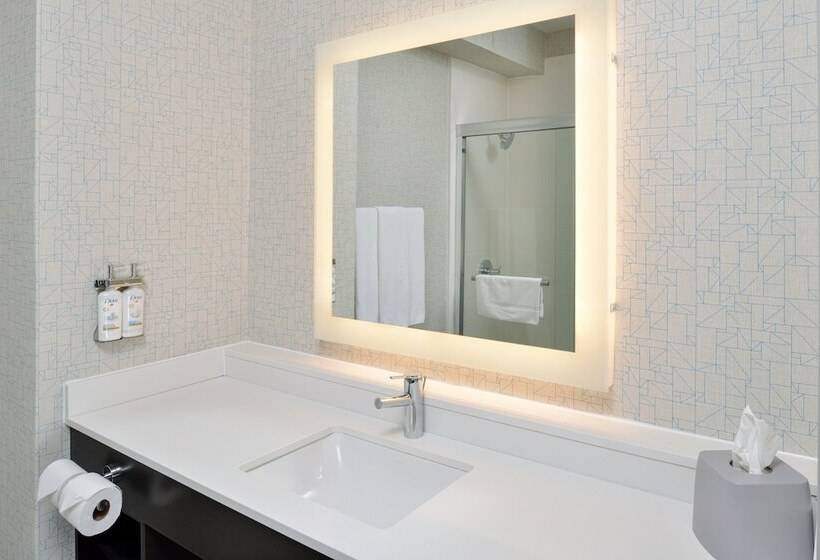 Номер Стандарт, Holiday Inn Express Hotel & Suites Royse City   Rockwallrockwall   Royse City, An Ihg