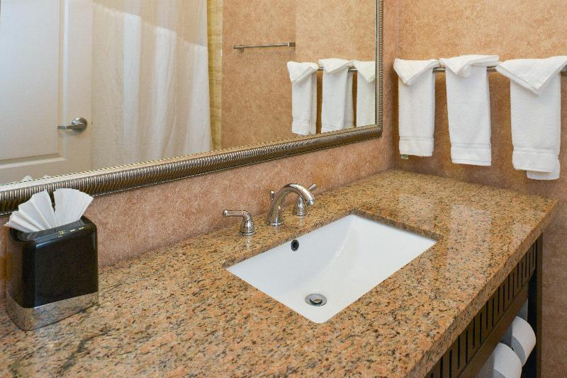 Стандартный Номер Кровать Кинг, Holiday Inn Express Hotel & Suites Royse City   Rockwallrockwall   Royse City, An Ihg