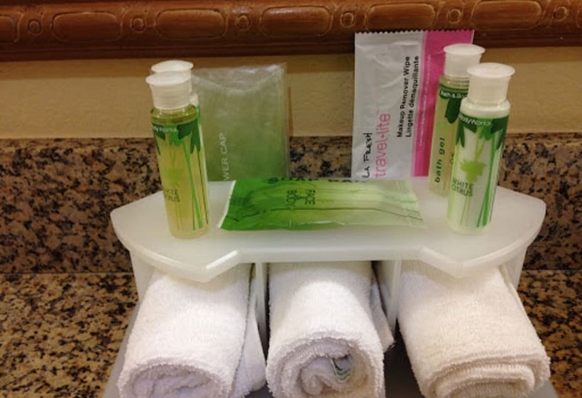 Люкс, Holiday Inn Express Hotel And Suites Port Aransas/beach Area, An Ihg