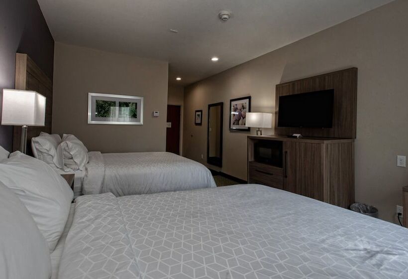 Люкс, Holiday Inn Express Hotel And Suites Port Aransas/beach Area, An Ihg