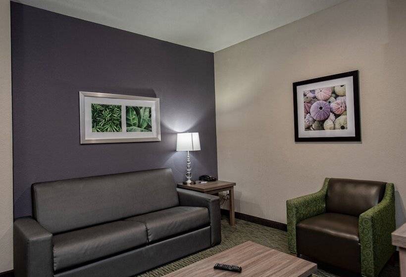 Люкс Адаптированный для Инвалидов, Holiday Inn Express Hotel And Suites Port Aransas/beach Area, An Ihg