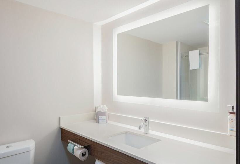 스위트, Holiday Inn Express & Suites Roanoke Rapids Se By Ihg