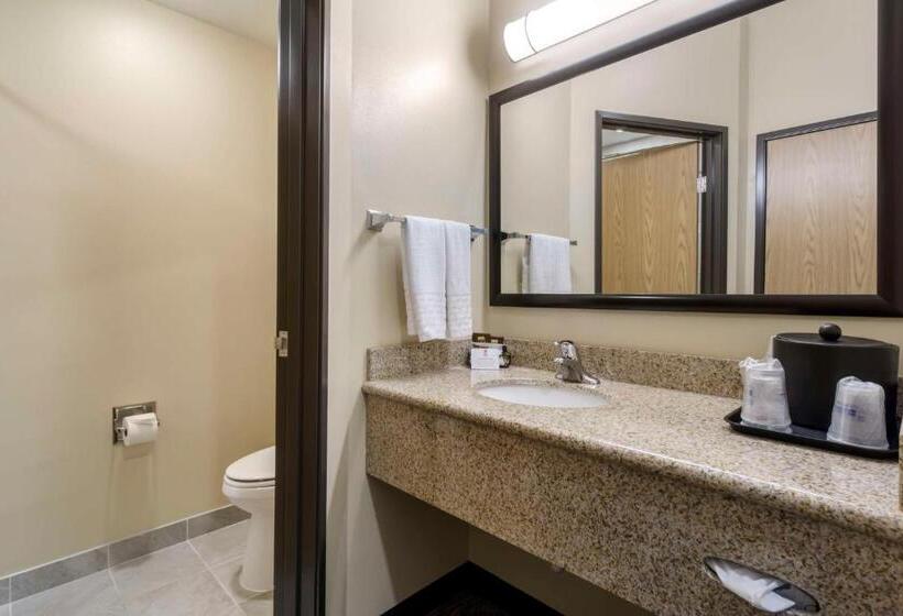 스탠다드 룸 킹사이즈 침대, Best Western Plus Grapevine Inn