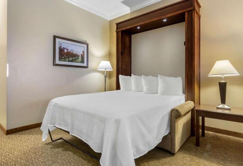 Mini Suite, Best Western Plus Grapevine Inn