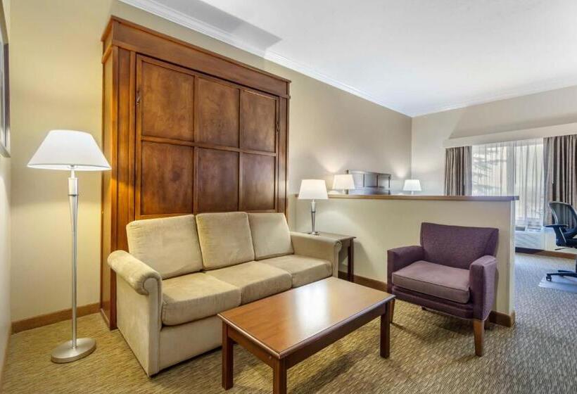 장애인을 위한 스탠다드 룸, Best Western Plus Grapevine Inn