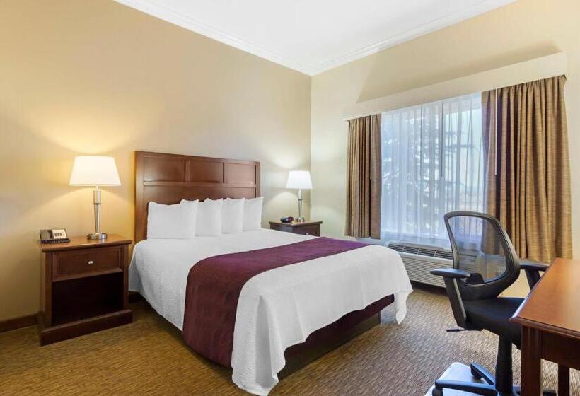 장애인을 위한 스탠다드 룸, Best Western Plus Grapevine Inn
