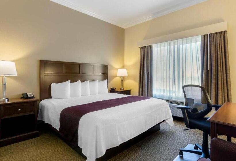 장애인을 위한 킹사이즈 침대 스탠다드 룸, Best Western Plus Grapevine Inn