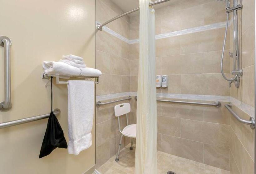 장애인을 위한 킹사이즈 침대 스탠다드 룸, Best Western Plus Grapevine Inn