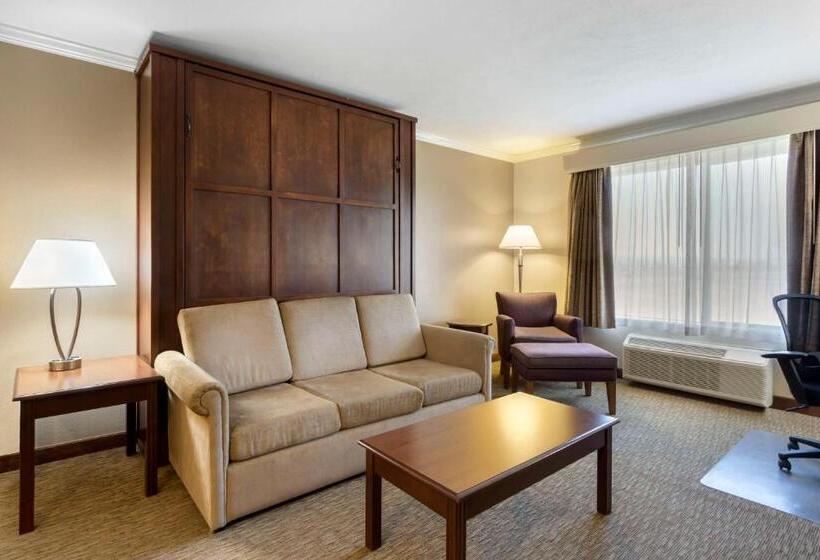 스위트 킹사이즈 침대, Best Western Plus Grapevine Inn