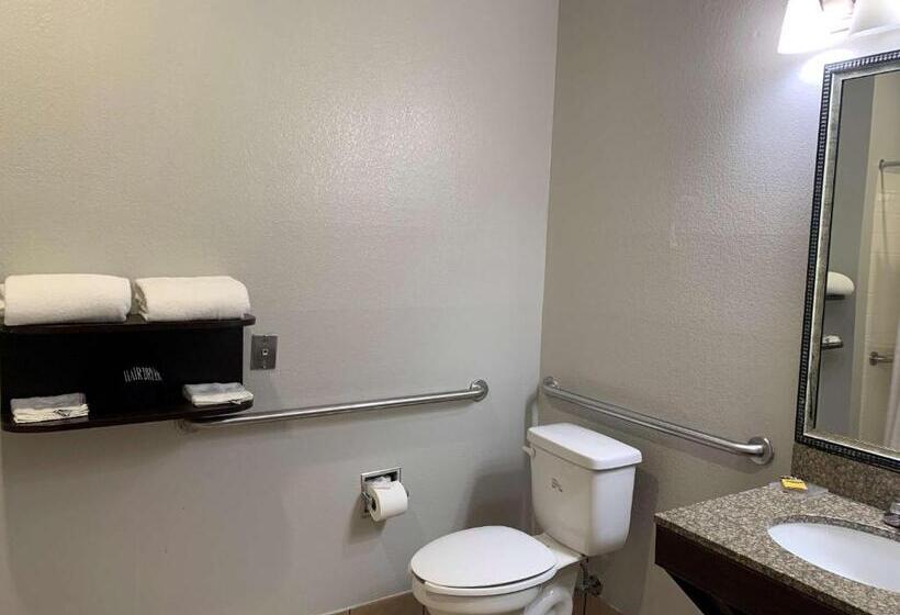 Номер Стандарт Кровать Кинг Адаптированный для Инвалидов, Best Western Plus Lake Worth