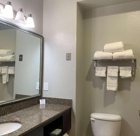 Номер Стандарт, Best Western Plus Lake Worth